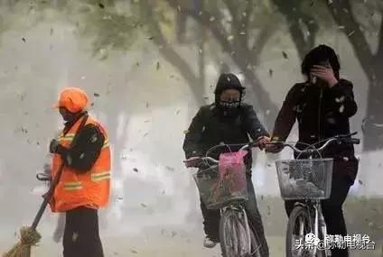 一棵被保护的百年古树,一棵百年的古树被雷击