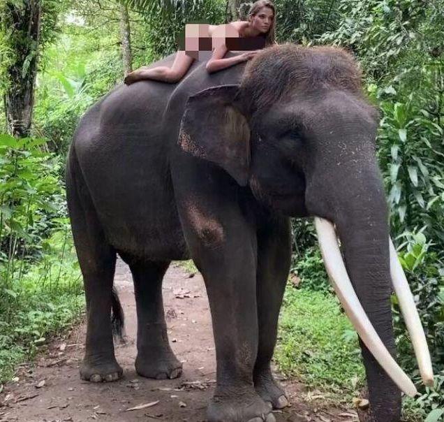 俄罗斯网红在印尼神山拍不雅视频被通缉，步光身骑大象女模后尘
