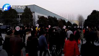 权健华林是传销吗,华林传销受害事件