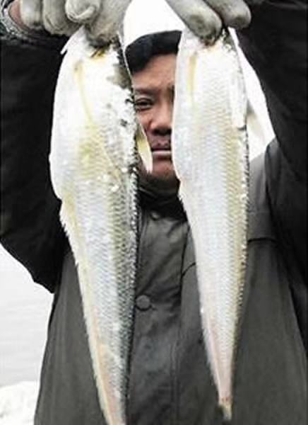 产地在中国的顶级食材,推荐给你这些中国产的名贵食材