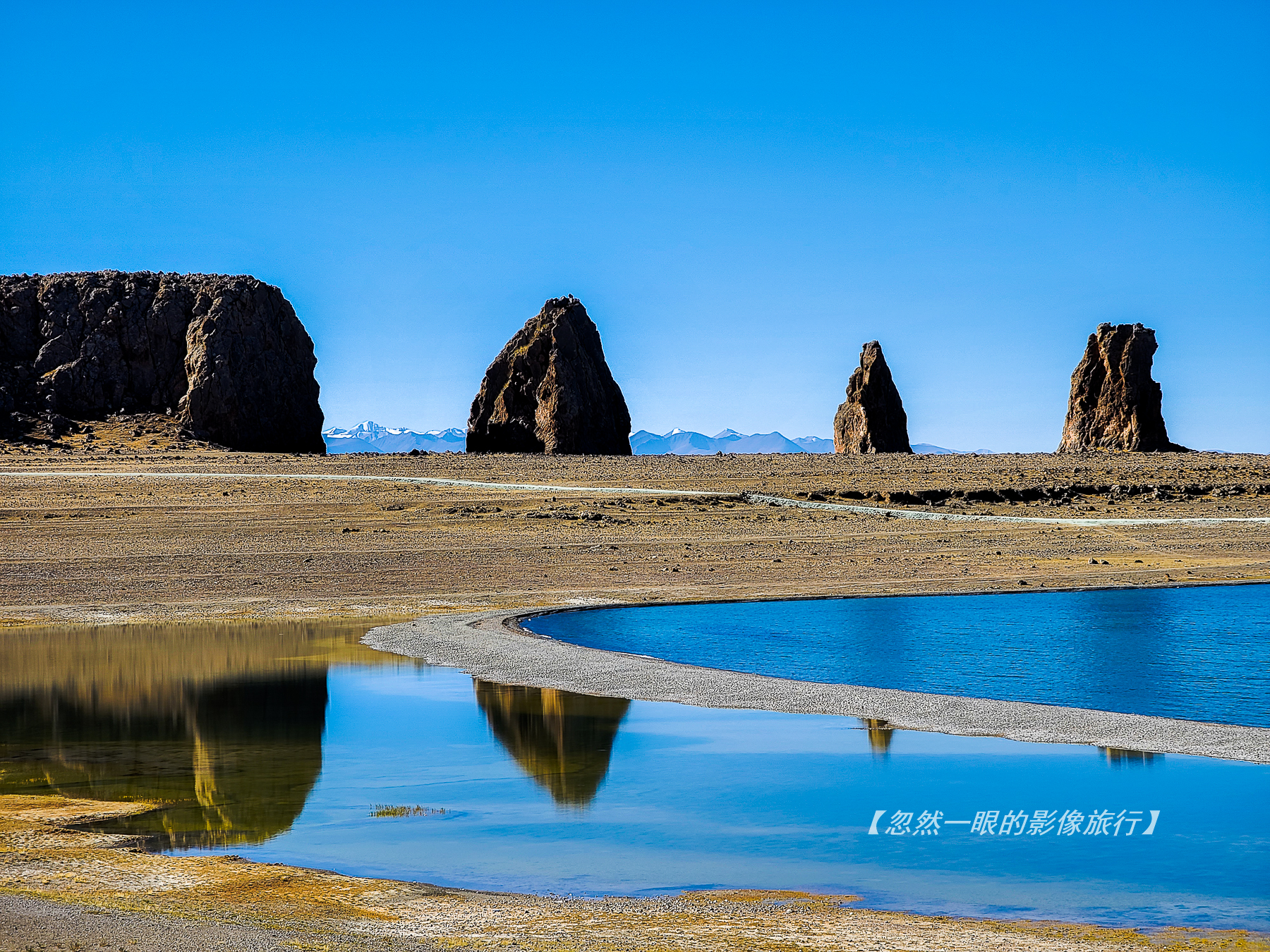阿里无人区野狼出没,阿里无人区狐狸