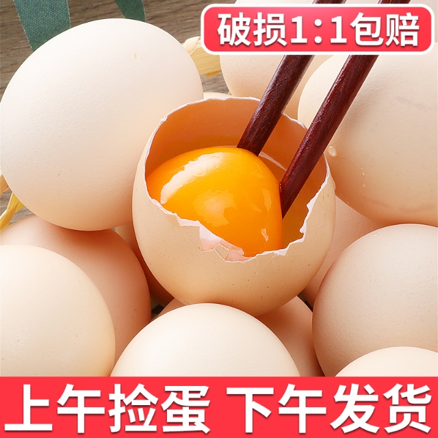 巴拉巴拉小童短袖纯棉t恤,巴拉巴拉幼童清仓特价衣服