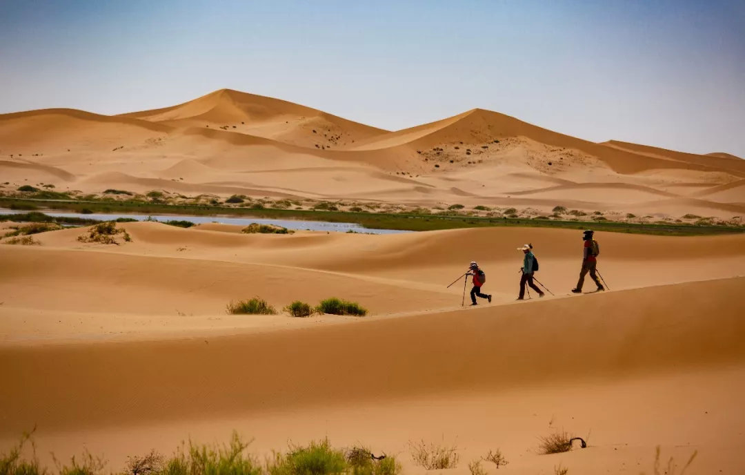 沙漠亲子营价格 (沙漠亲子陪伴营优惠政策)