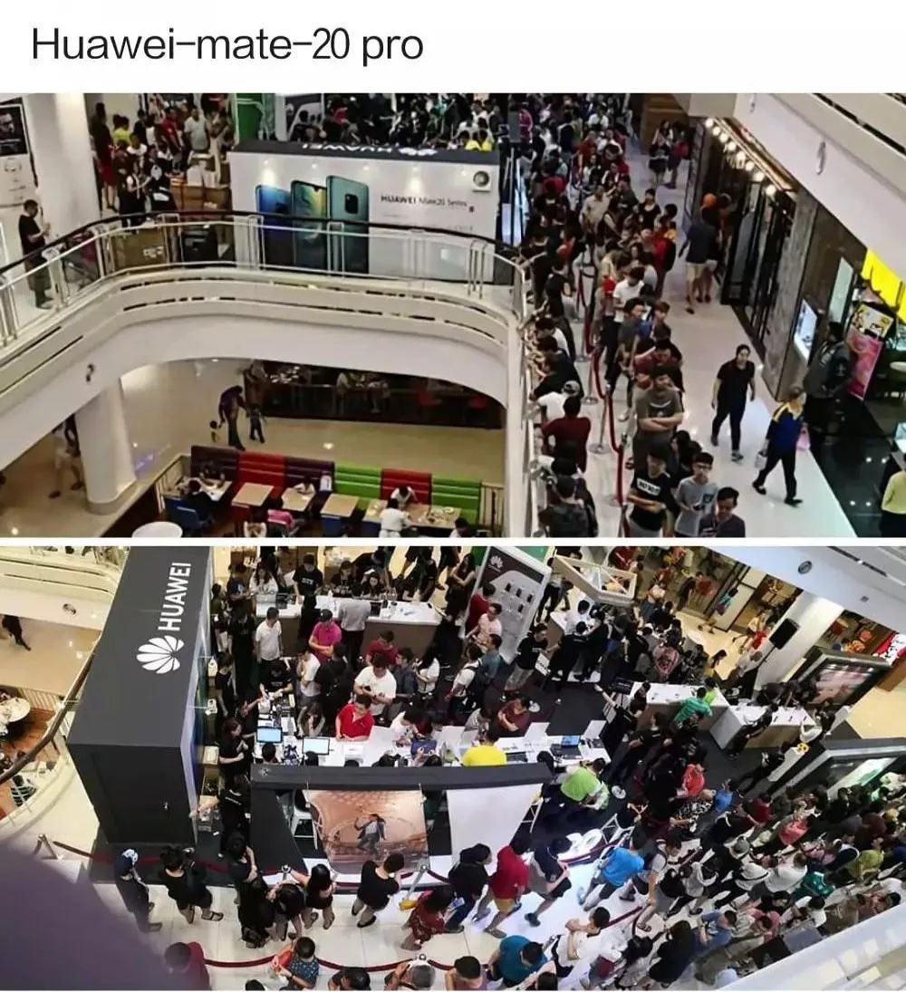 国外黄牛出售,国外黄牛和中国黄牛