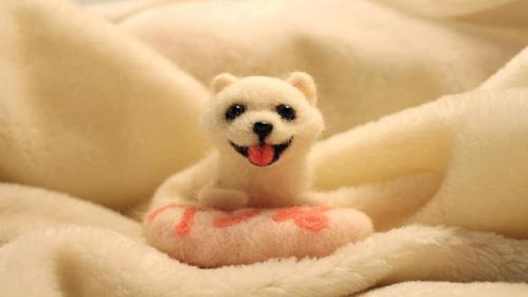 怎么样防治跳蚤最有效,怎么防治跳蚤