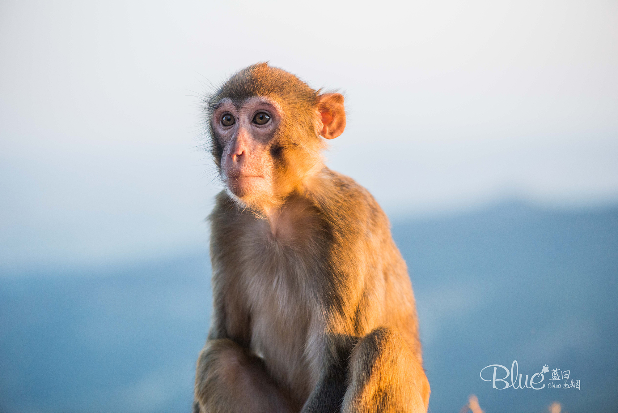 连云港著名景点花果山的传说,连云港的花果山景区