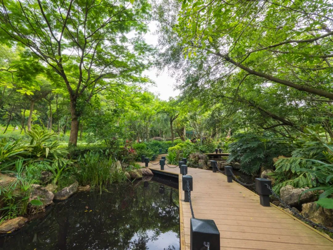 深圳赏月推荐,龙岗中心赏月