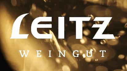 雷司令1987,雷司令588岁生日酒会