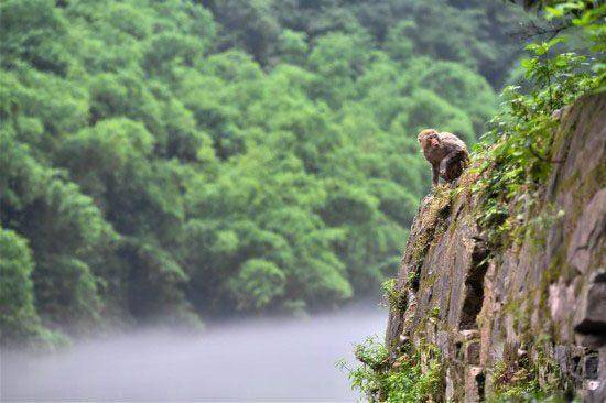 渝北最值得去爬山的十个地方,重庆渝北好玩的地方推荐地图
