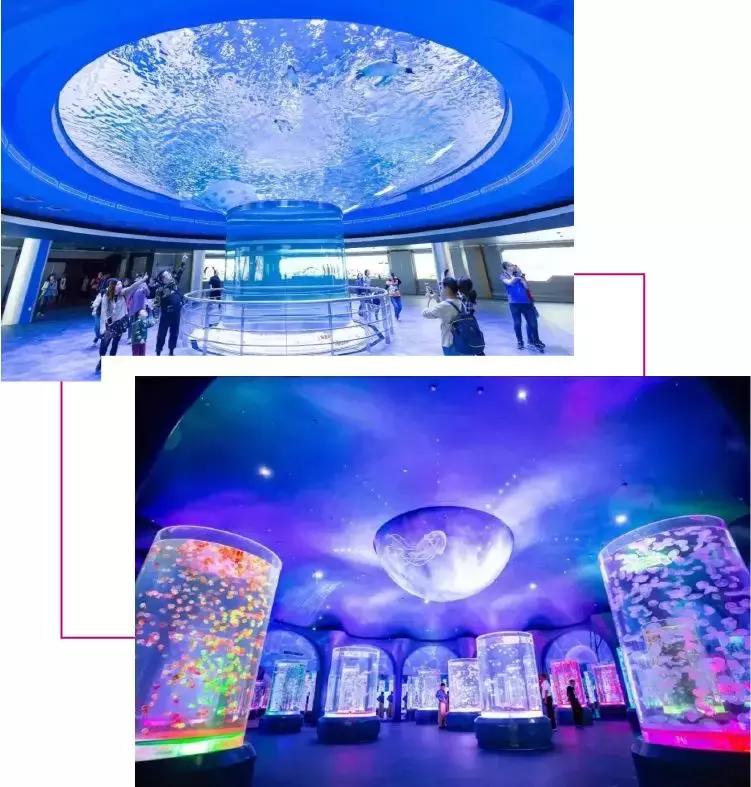 美到犯规的地方,魔都滴水湖酒店