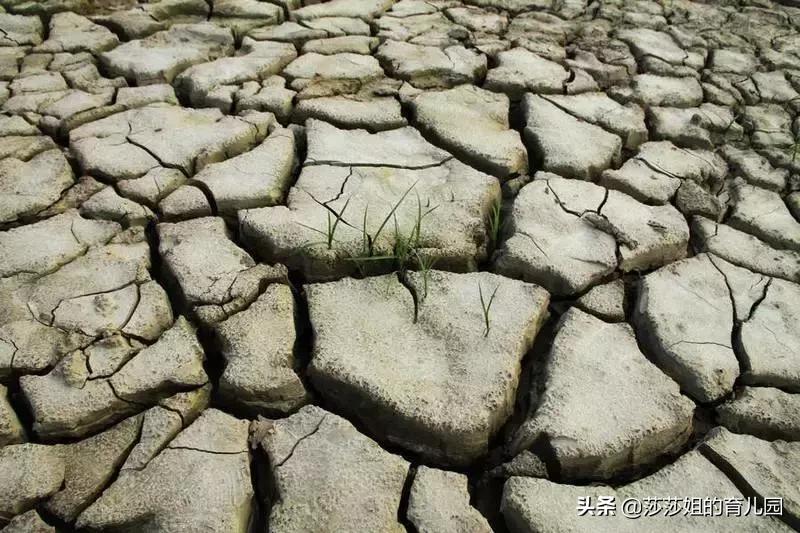 孩子舌头中间有裂纹是怎么回事,小孩舌头红有裂纹是什么原因