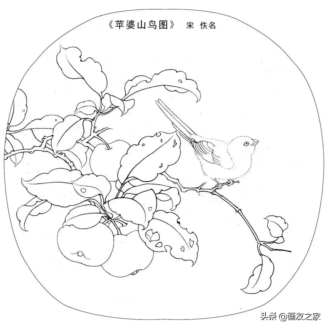 宋花鸟工笔画高清大图临摹过程,宋画工笔画花卉上色教程