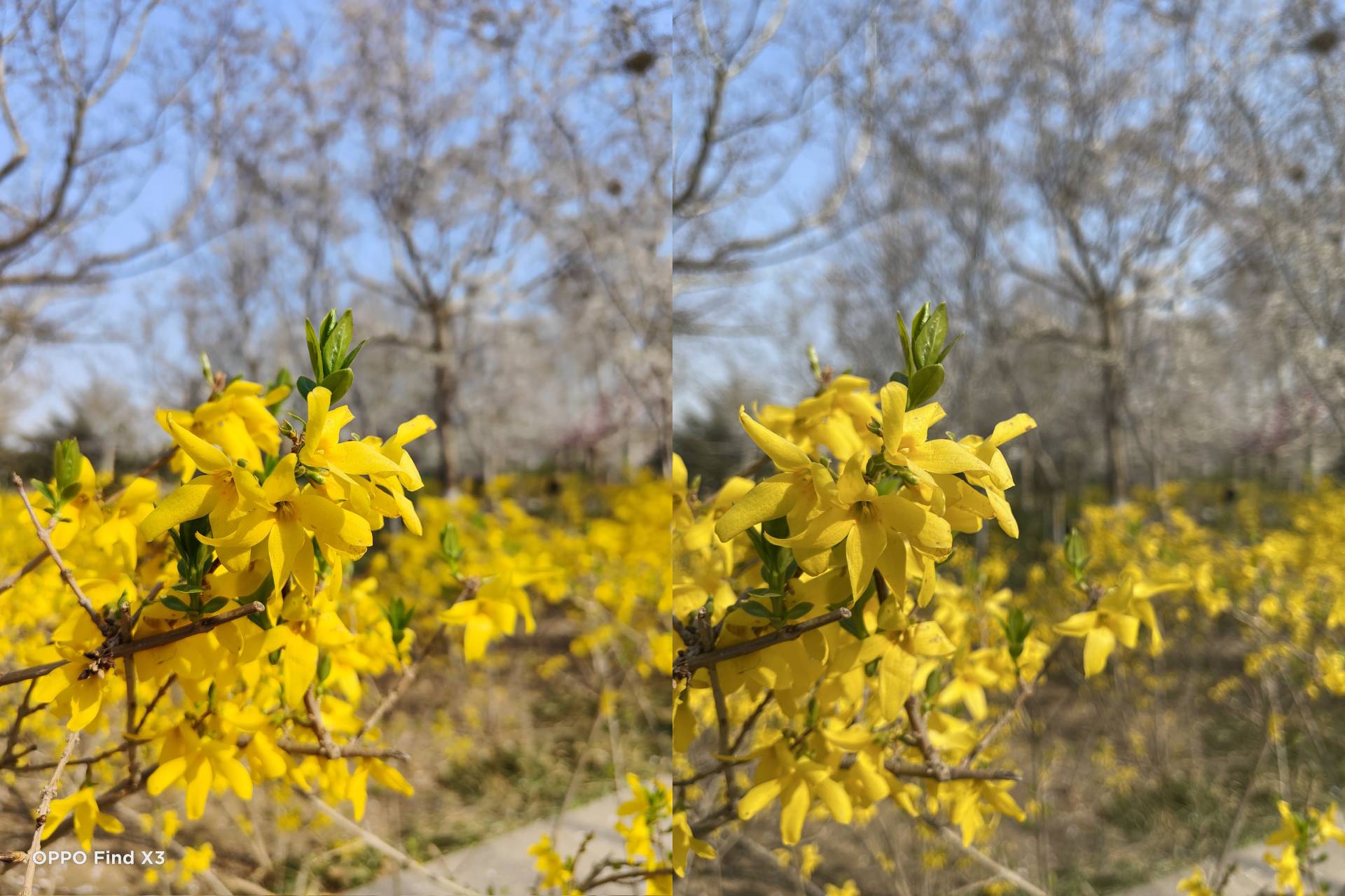 oppofindx3pro能和iphone比吗,oppofindx3真实体验