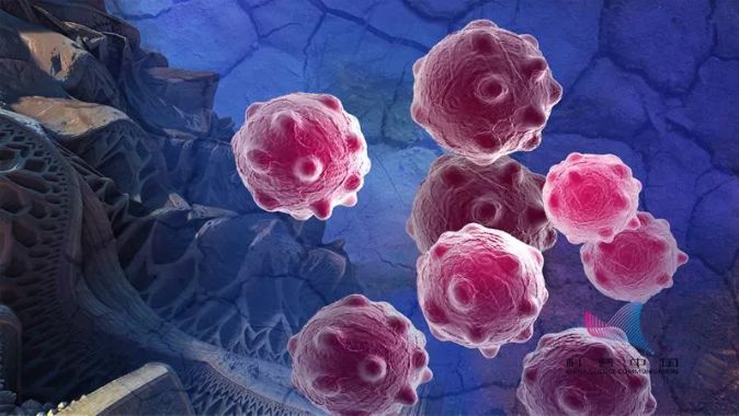 中国科协到底干什么的,中国最新号外新闻