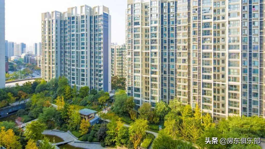 东棠之后，还有西棠。高新区扛把子一出，谁与争锋？