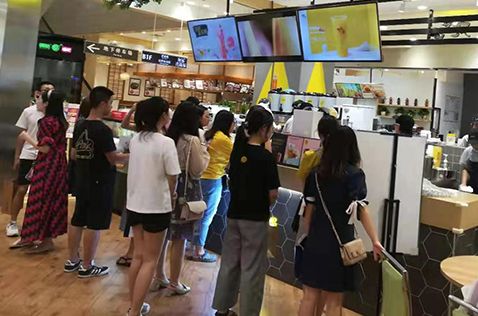 加拿大鹅街头被抢,加拿大鹅10天被抢七次