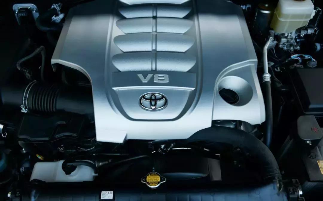 你一个月的工资养得起吗,你一个月的工资能买得起什么