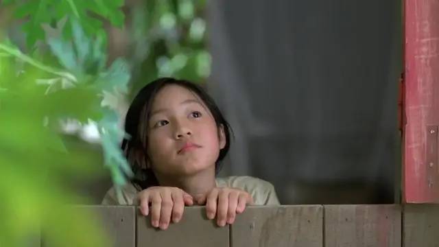 夏天最值得看的电影,十部必看经典电影夏天