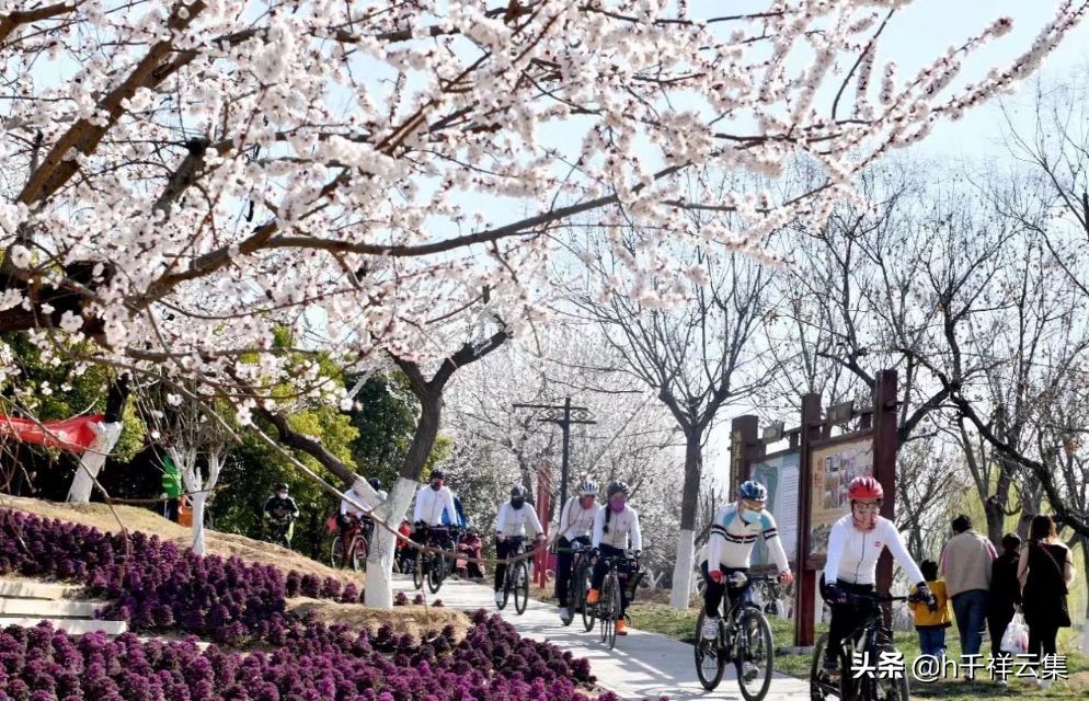 我的家乡商丘夏邑,夏邑又多一处美景有山有水还有花