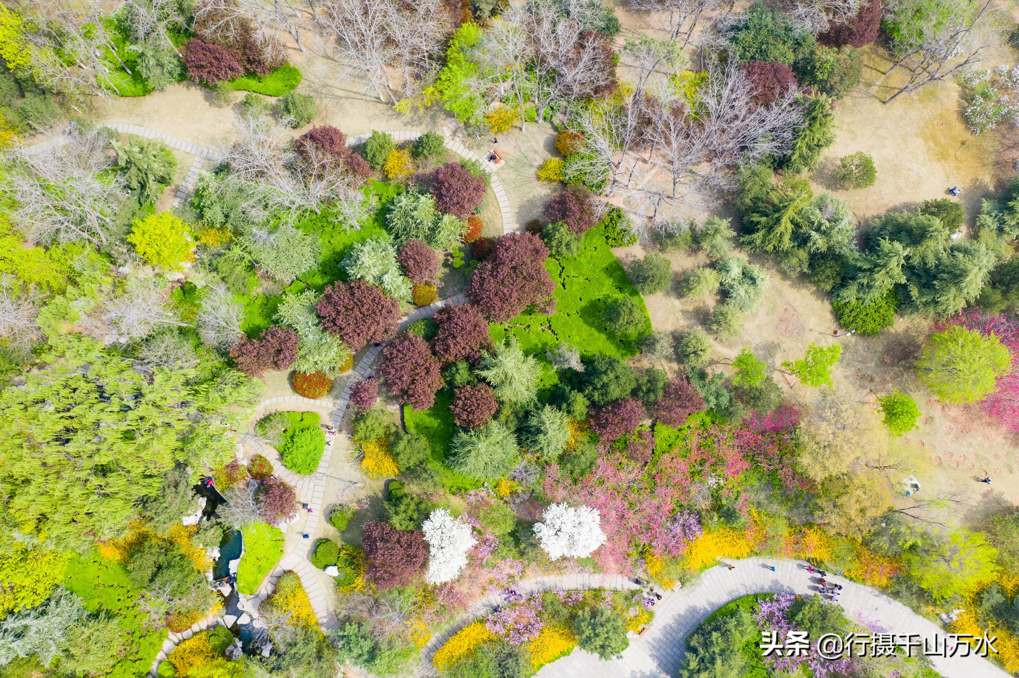 济南森林公园色彩斑斓秋意渐浓,济南今年的森林公园风景如画
