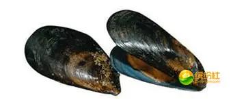 舟山海鲜代加工攻略,最全舟山海鲜攻略