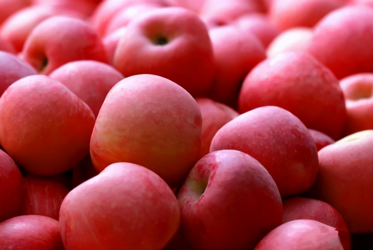 苹果正红景正美!在最甜的时候看最美的运城!