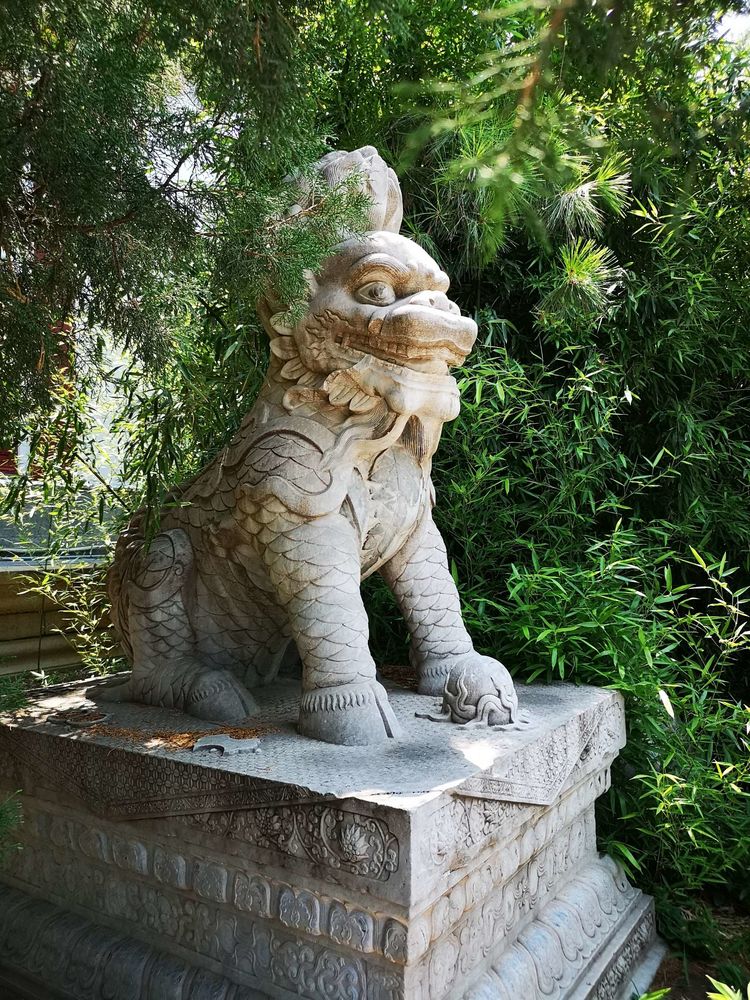 漫步北大校园,北大印象图片