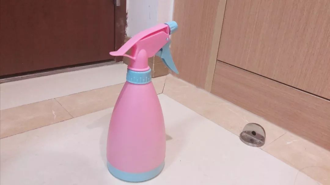 疫情家里养宠怎么消毒,养猫天天开窗通风还要消毒吗