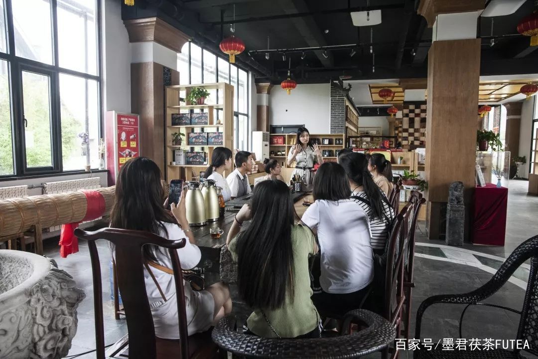 会友会景会茯茶品古品今品墨君|陕西巨鹰公司莅临金叶茯茶参观