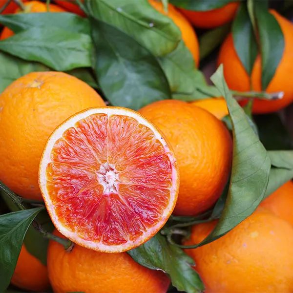 澳洲水果的营养价值,澳洲必吃的10种水果