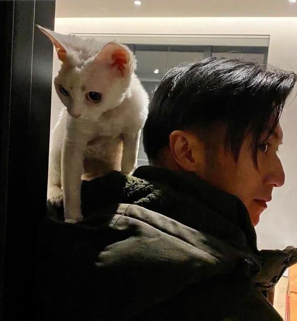 谢霆锋为何背叛王菲选择张柏芝,谢霆锋或王菲2020年关系如何