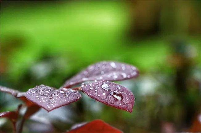 雅安楠水阁温泉游玩,雅安楠水阁酒店和梦温泉哪个好