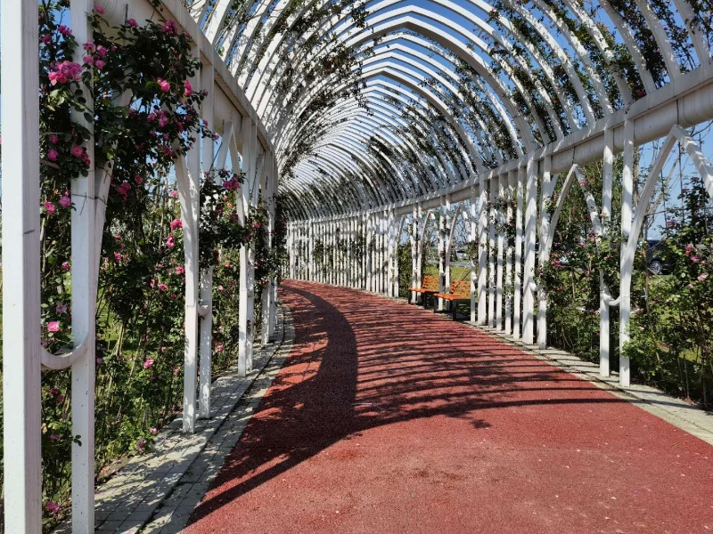 双流空港花田看飞机降落最佳地点,双流空港花田飞机场