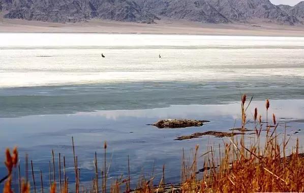 鍘熸潵鎴戜滑鐢樿們鏈夎繖涔堢編,浣犱互涓虹殑鐢樿們寰堢編