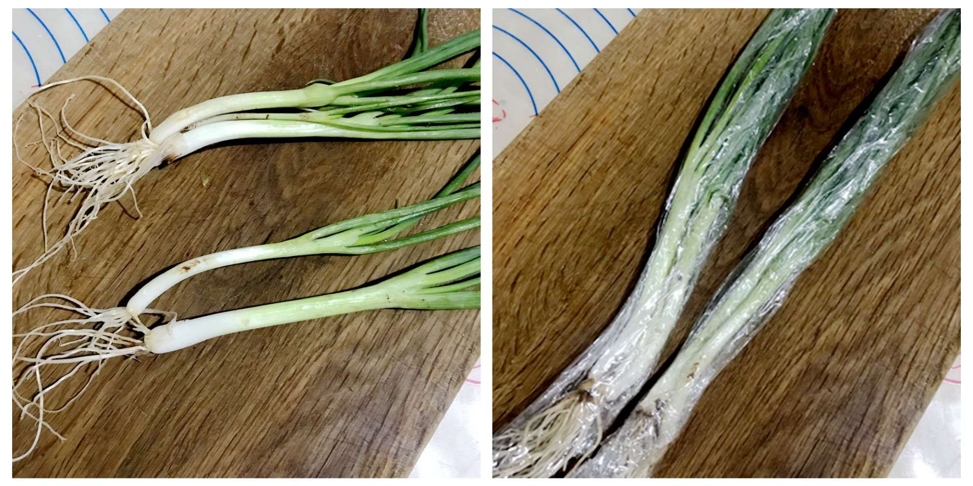 小户型风冷无霜双开门冰箱推荐,三星510l冰箱尺寸