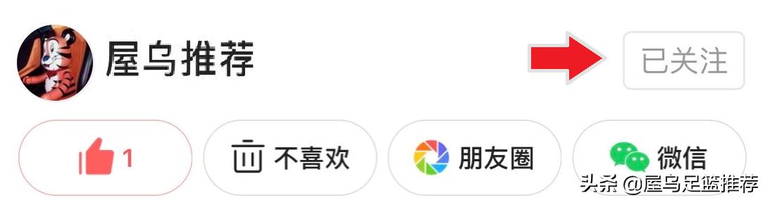 萨尔茨堡vs马德里竞技足球分析,欧冠萨尔茨堡vs切尔西