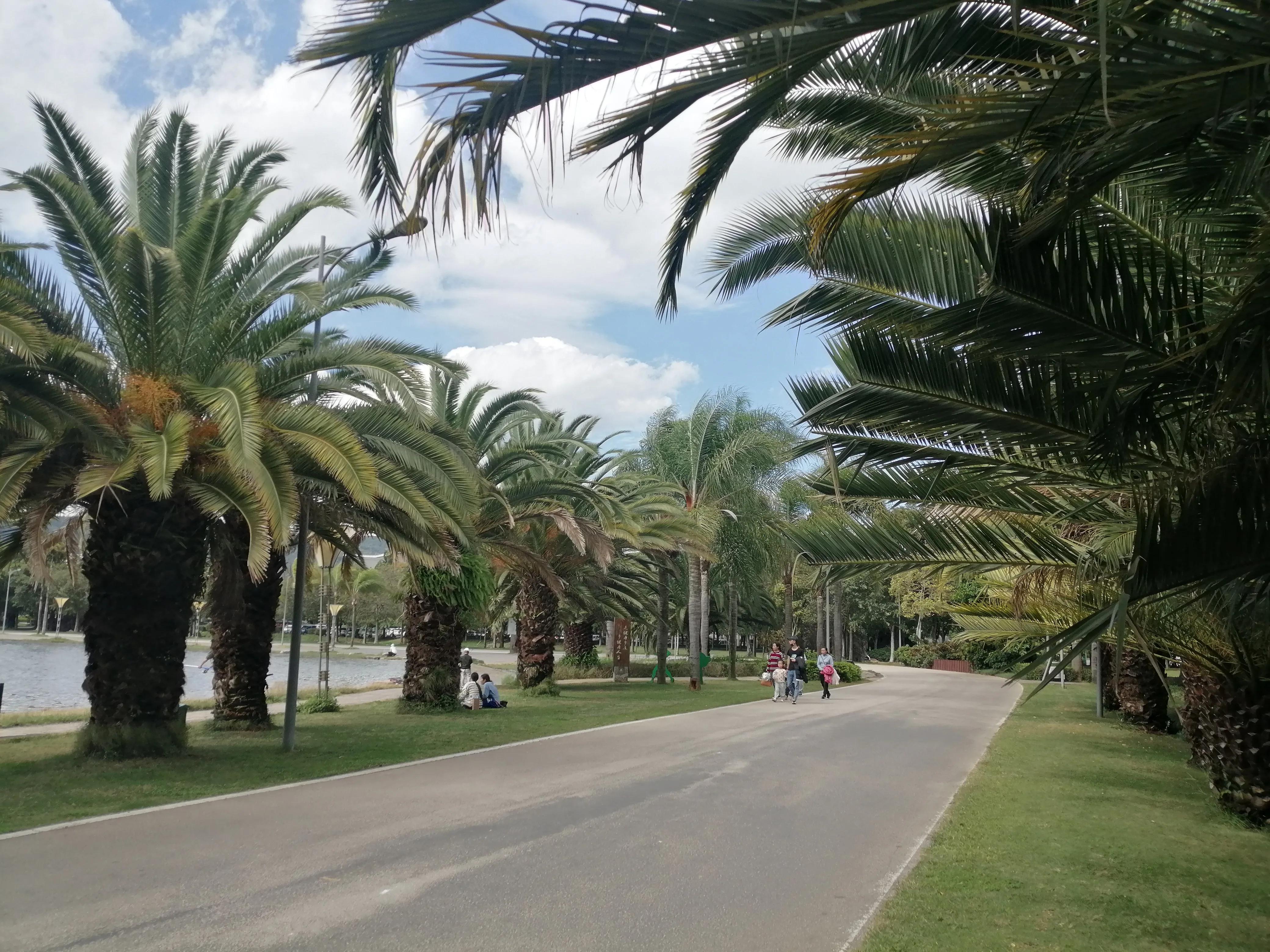 旅居养老式旅游弥勒,弥勒旅居住得最舒服的地方