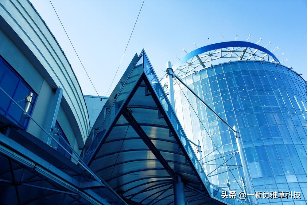 首席技术官cto和技术总监,cto技术总监