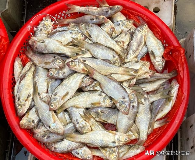 泉州休渔期什么时候结束,泉州休渔期2022时间表