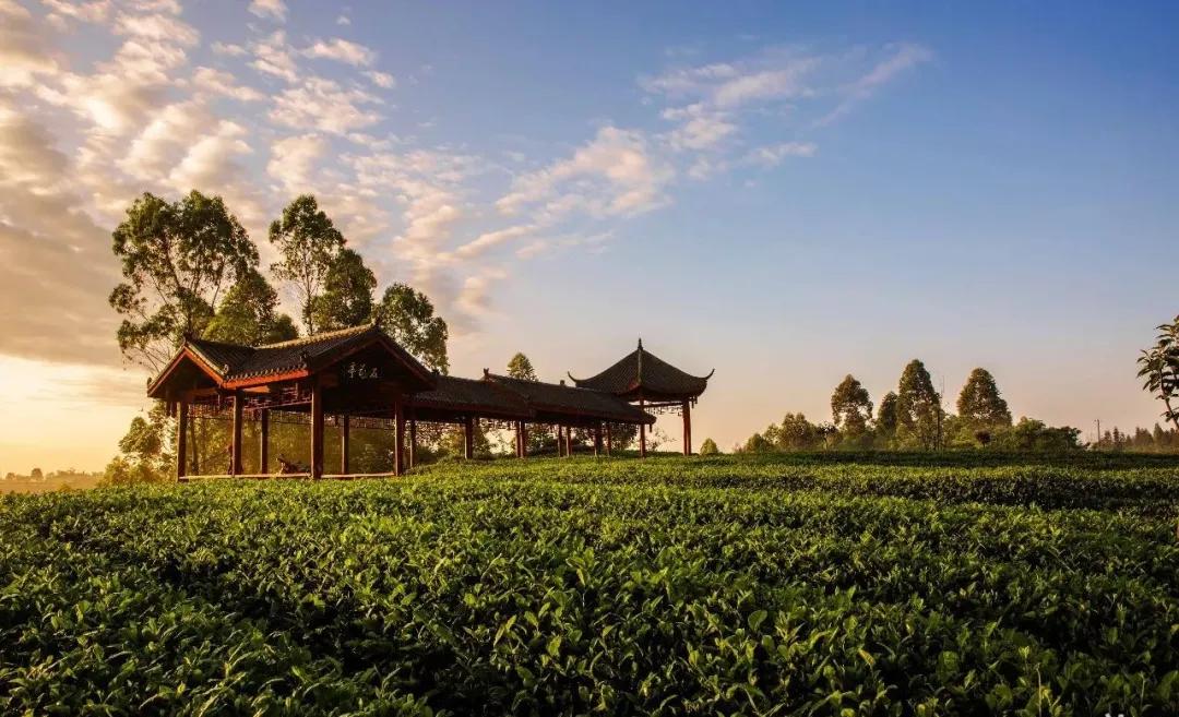 雅安旅行攻略亲子游,雅安市旅行攻略自由行路线