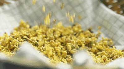 徐州市区桂花地图上线，能看又能吃！趁着十一假期快去吧