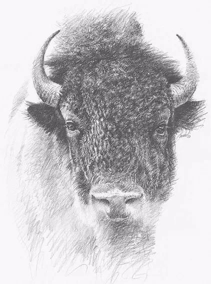 绱犳弿鍏ラ棬鍔ㄧ墿,绱犳弿鍔ㄧ墿瑙ｆ瀽