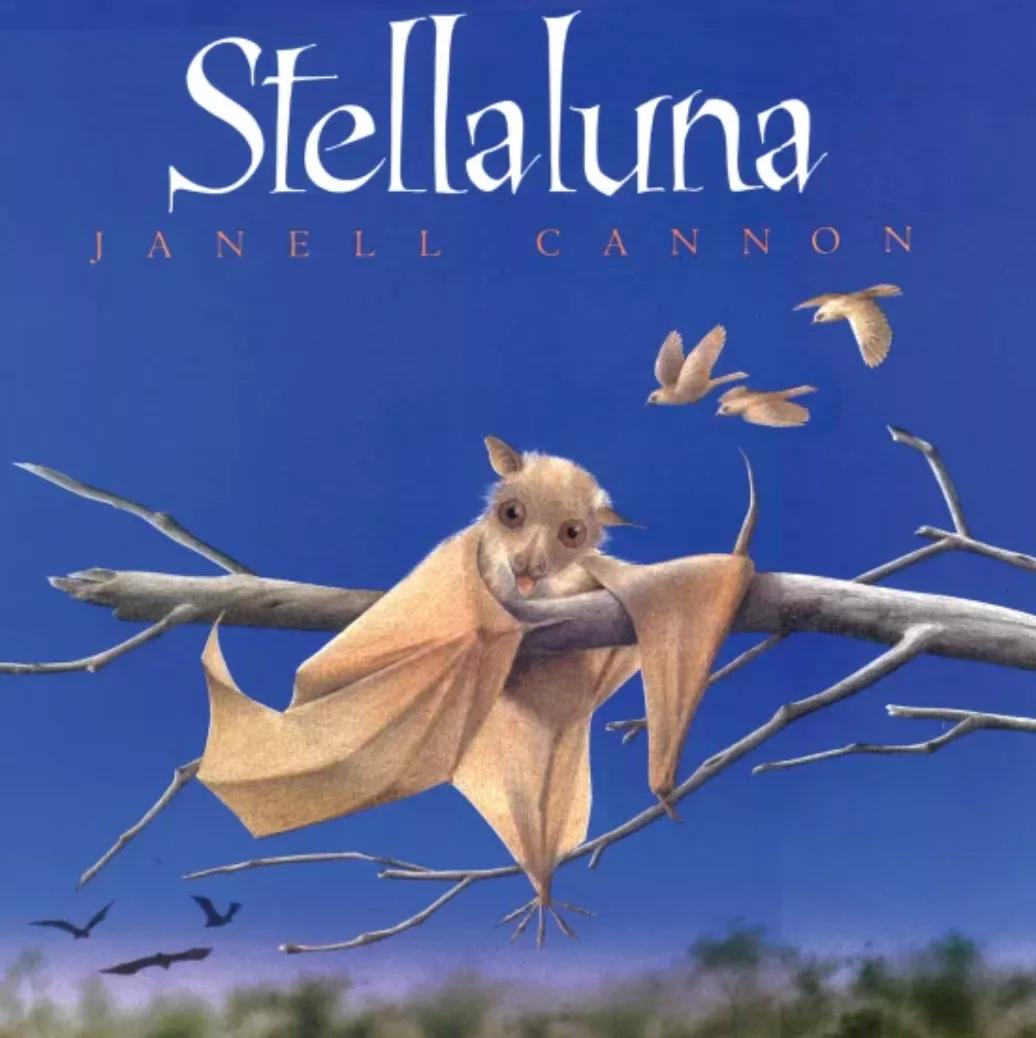 国际大奖绘本大全,2021年纽约时报最佳儿童绘本