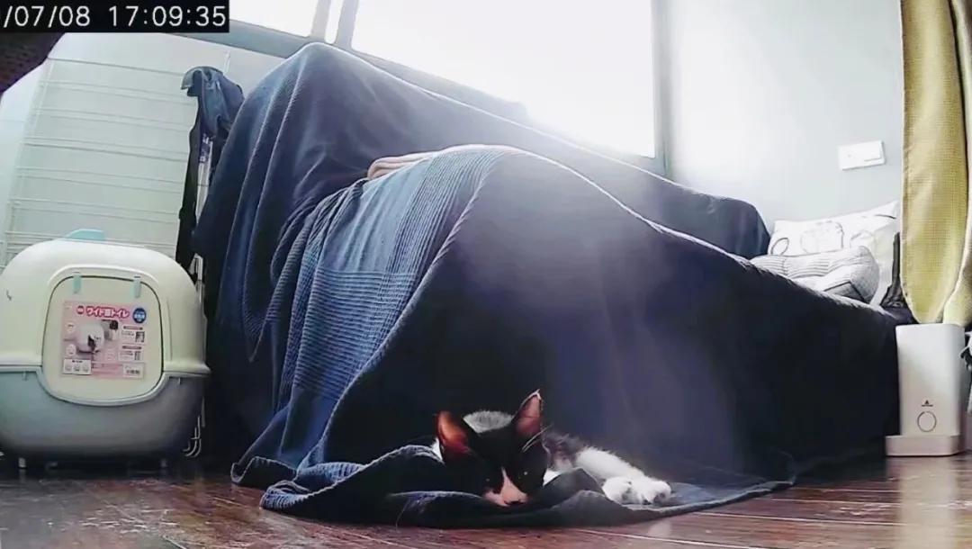 和卡卡的第一次合作,和卡卡相遇