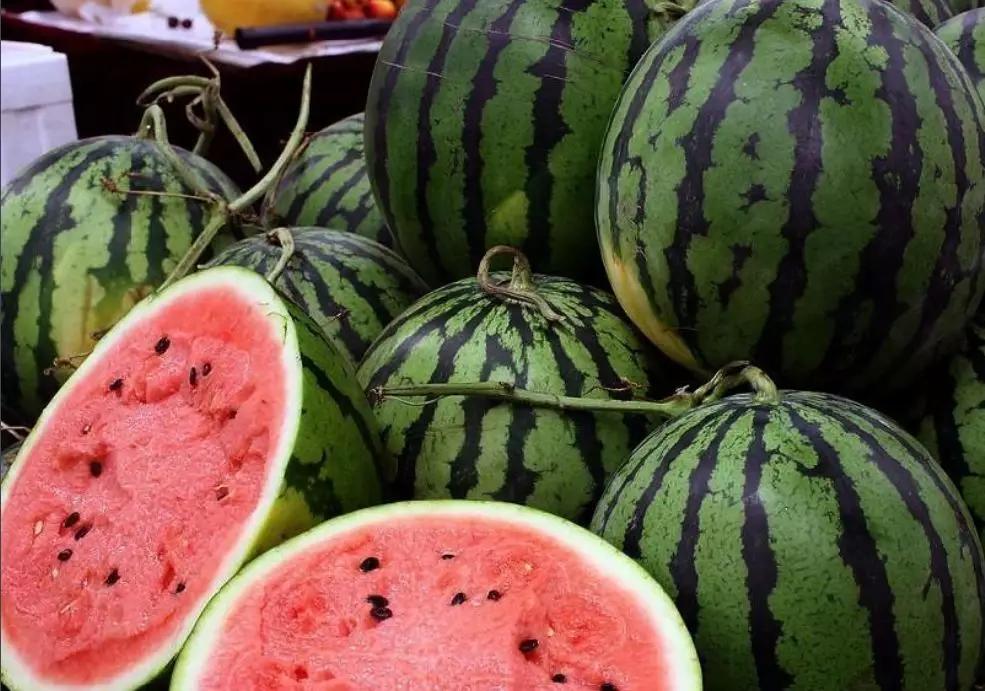 辽宁葫芦岛特产有哪些,辽宁特产有哪些值得带去的