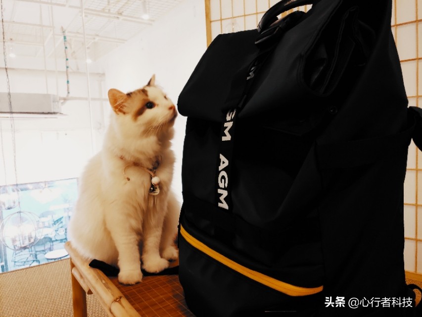 agm黑盾城市猎人双肩包2020新春款,agm黑盾城市猎人双肩包