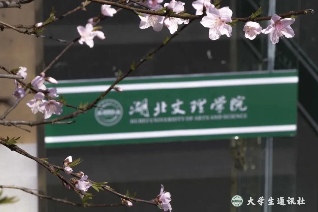 央视多次点赞武汉,央视点赞武汉直播