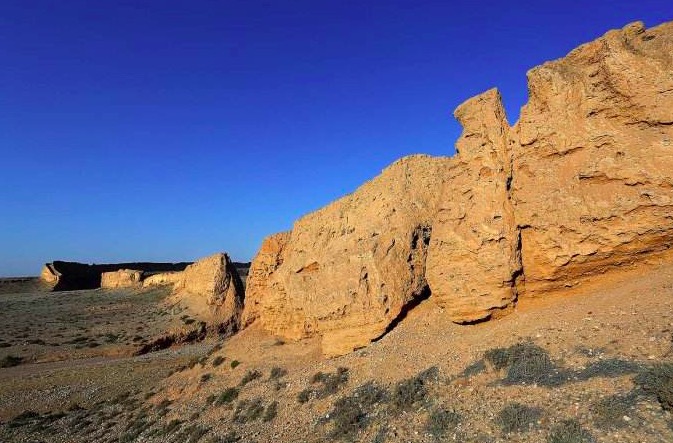 李白写的边塞诗有哪些,李白的边塞诗从军行阅读题