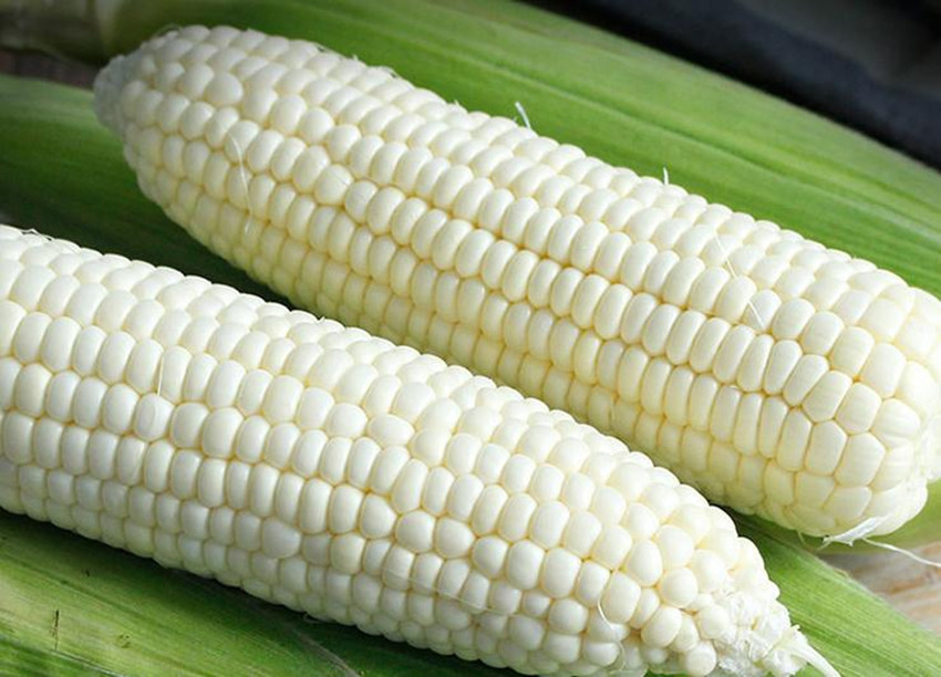 比西瓜还甜的水果,比糖还甜的西瓜