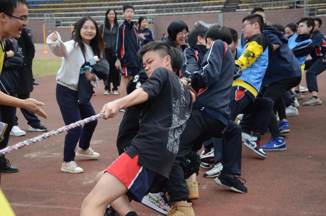 音体美加入中考吗,音体美纳入中考都考什么